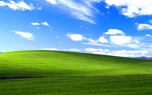 imagem da vaga